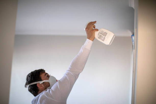 Best Mold Removal Near Me  in Bayou Lourse, LA