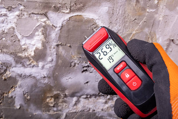 Best Office Mold Removal Services  in Bayou Lourse, LA